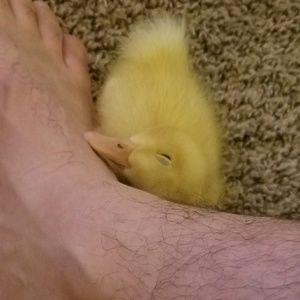 Meet your Posher, Mia